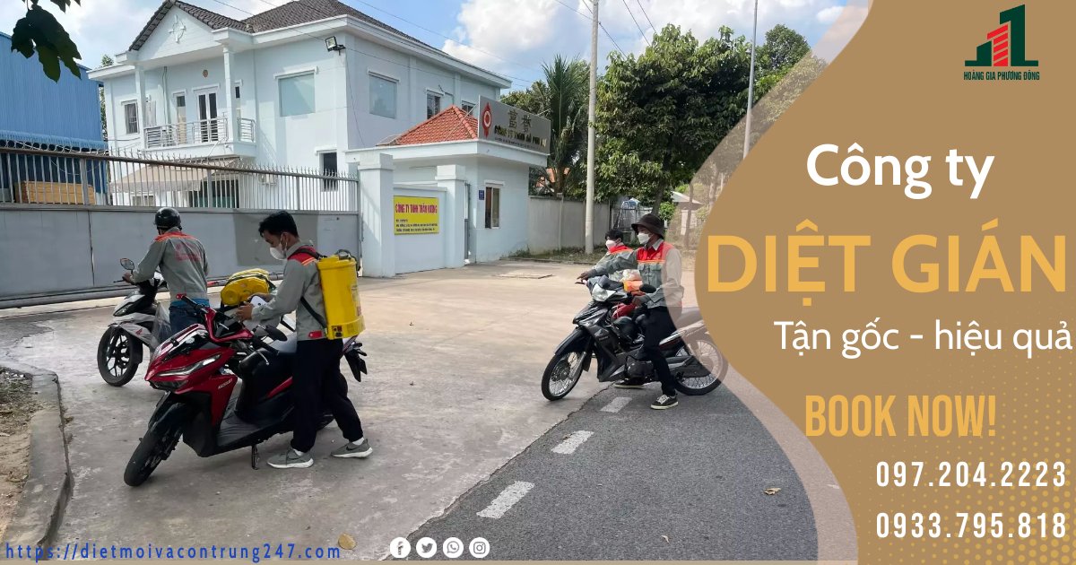 CÔNG TY DIỆT GIÁN UY TÍN